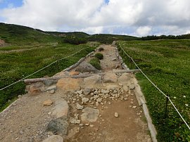 山道の堤防.JPG
