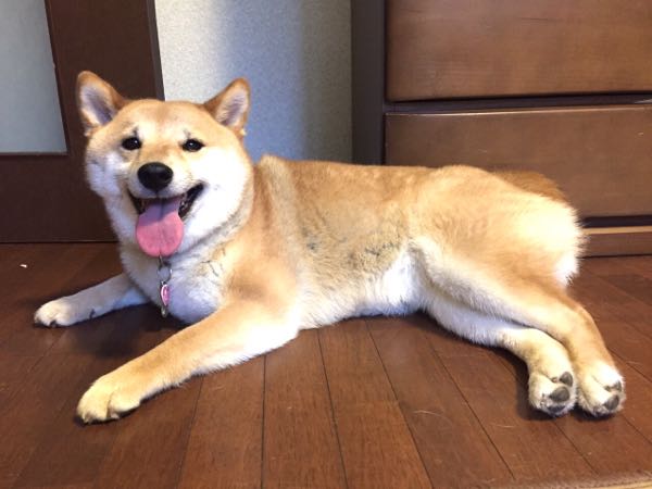 rblog-20160531212725-01.jpg