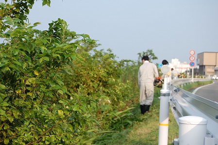 s-DSC_0362.jpg