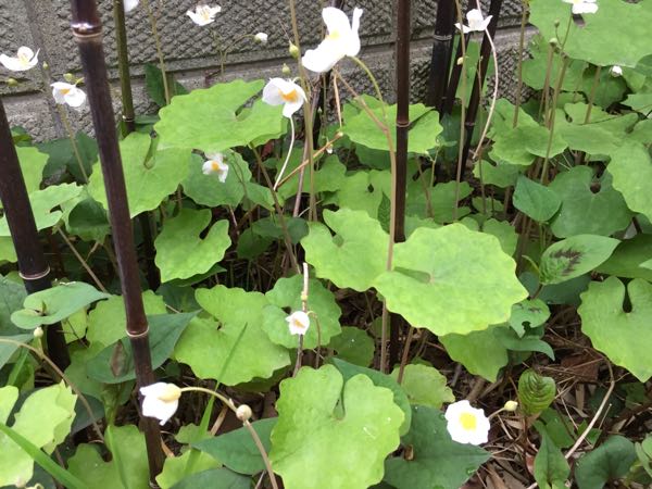 rblog-20180415200130-01.jpg