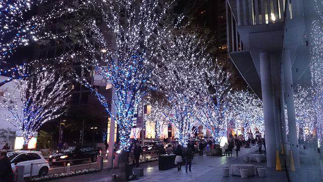 2015-11-28 17.13.43.jpg