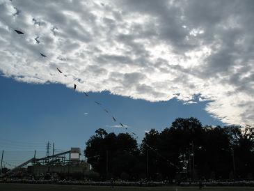 2012運動会2