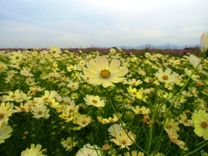 CIMG0564.JPG