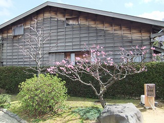 s-DSCF5174.jpg
