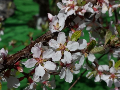 20160415_095134 (400x300).jpg