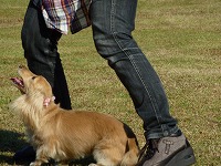 20121016150825[1].jpg