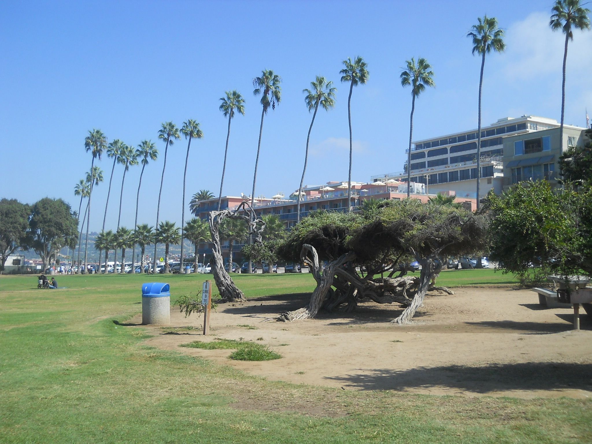 サンディエゴ ラホヤ ビーチ 犬 人 公園 La Jolla Beach 10月14日 ラスベガス ロサンゼルスの旅 楽天ブログ