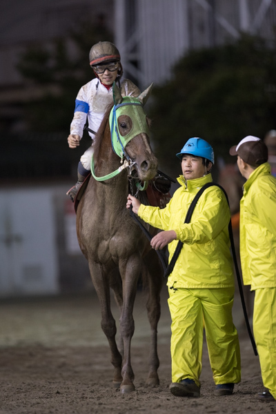 レース後