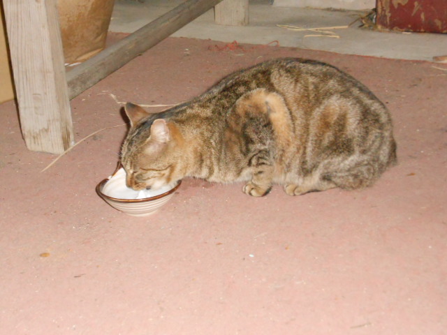 DSCN0820.JPG