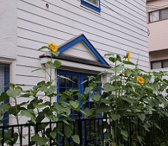 IMG_1825-16.jpg
