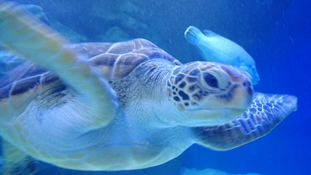 2015-08-23 11.06.50.jpg