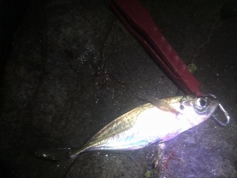 20160109-3.jpg