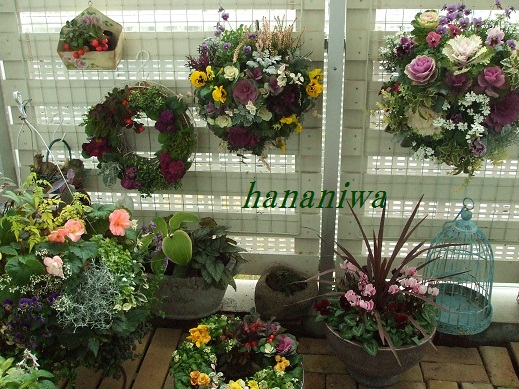 2012_1201トレッサ用寄せ植えとクレマチスの講座とカ0028.JPG