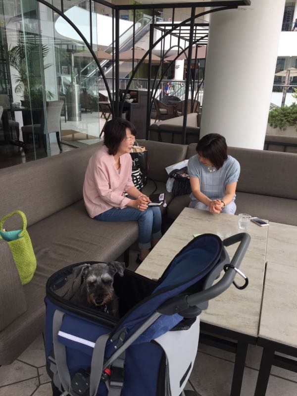 rblog-20160526024019-03.jpg