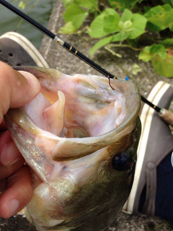 rblog-20140714150800-01.jpg