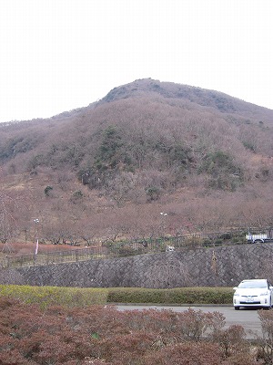 DSCN0466.jpg
