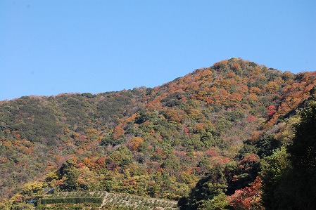 DSC_1162.jpg