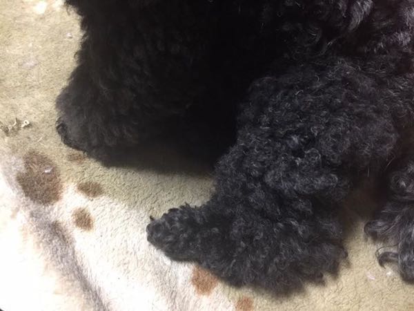 rblog-20170113102251-01.jpg