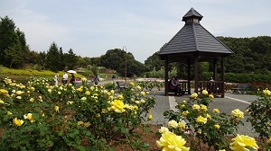 馬見丘公園by偐山頭火.jpg