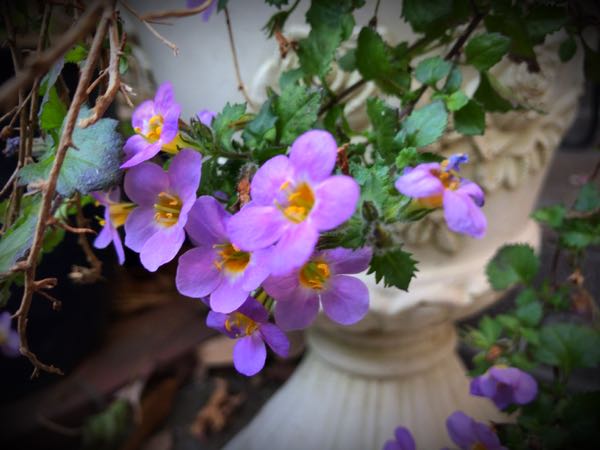 rblog-20161231163224-06.jpg