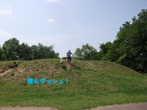 DSCF1350-1.jpg