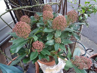 DSC04280.jpg
