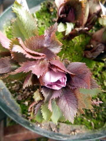 DSCN0790.JPG