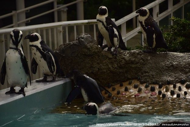 マグダラのマリアが裕福で影響力があったであろうことを示す新たな証拠