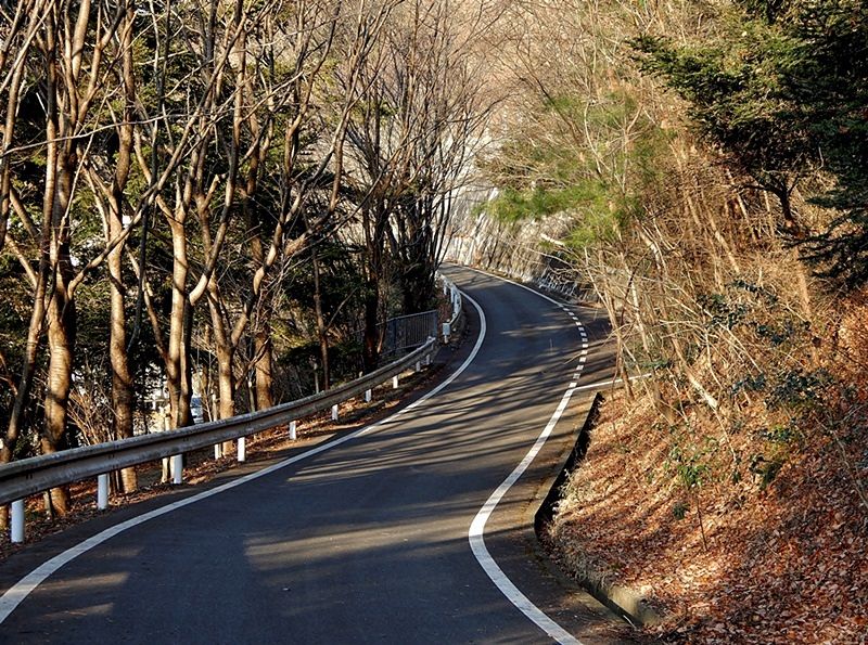 遊歩道1