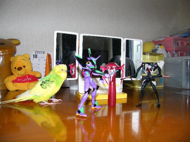 DSCF6298.jpg