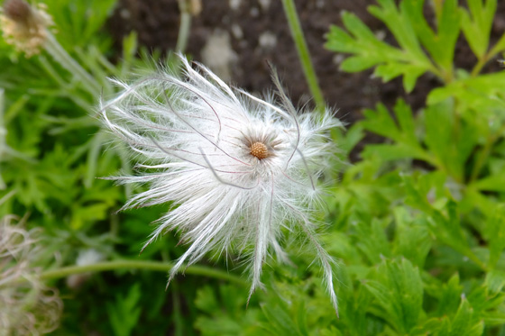 DSCF5489.jpg