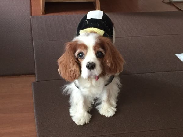 rblog-20161125165817-04.jpg
