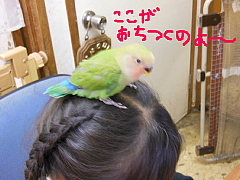 conv0441.JPG