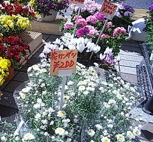 花かんざし