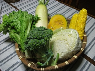 頂いた野菜.JPG