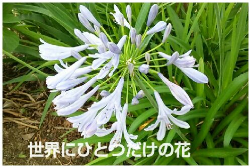 rblog-20160622063101-00.jpg