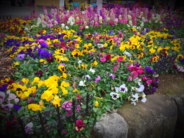rblog-20160225215816-02.jpg