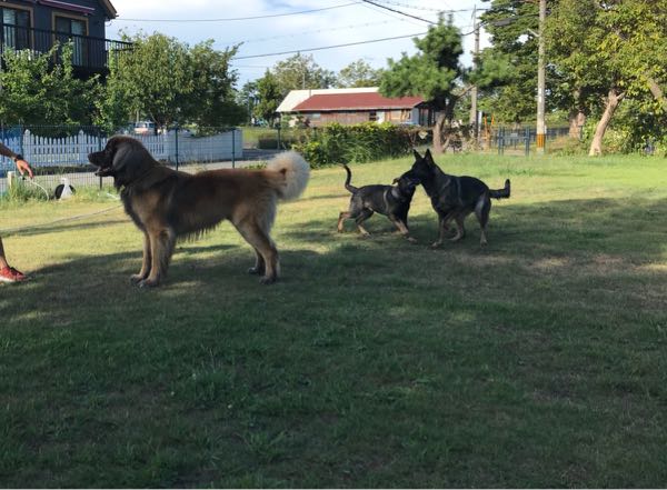 rblog-20180817084420-02.jpg