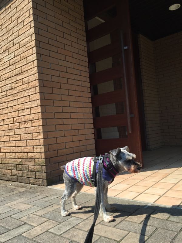 rblog-20160522014612-02.jpg