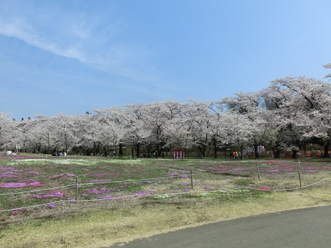 千本桜