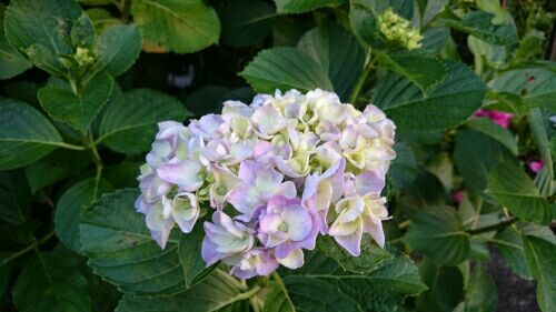 rblog-20160530225404-01.jpg