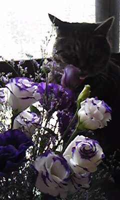 150925_141119.jpg