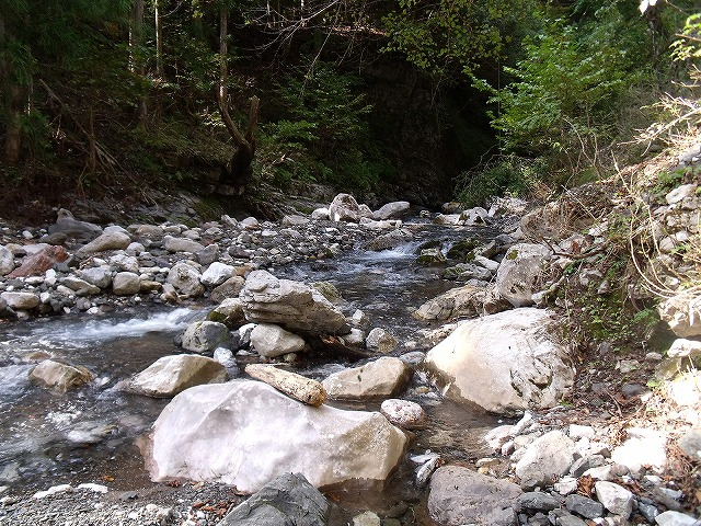 岐阜県　根尾