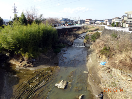 川口川.jpg