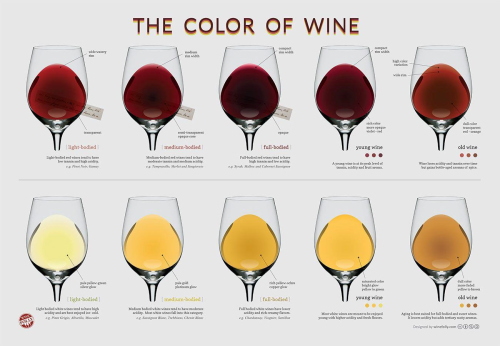 ワインの色