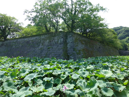 鹿児島城2