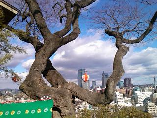 愛宕神社.JPG