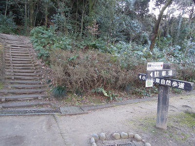 DSCN2800s.jpg