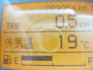 久々の１９℃(＠O＠)