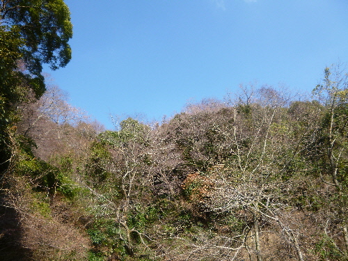 P1080535(1).JPG
